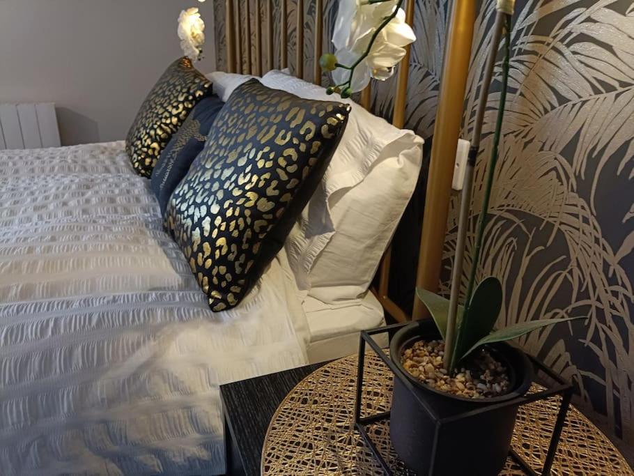 Apartment Bourne Street No 6 - 2nd Floor Ensuite Near Beach