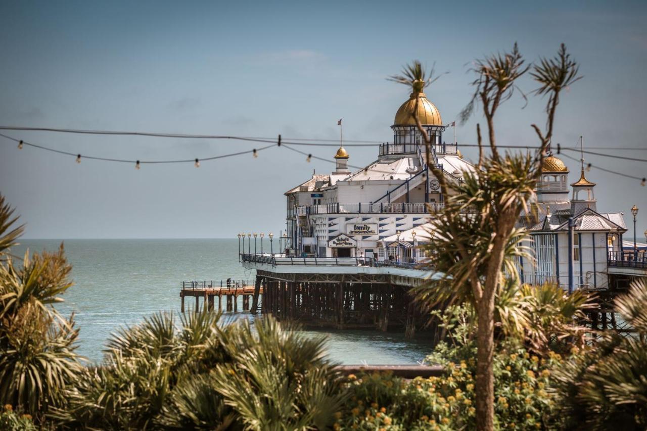 Pier Reflections - Seafront Eastbourne