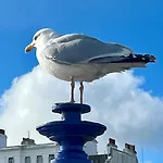 \