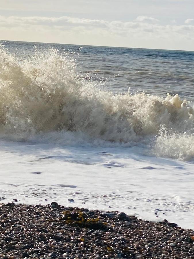 Holiday home Stunning Seafront House With Garden And Private Parking Eastbourne
