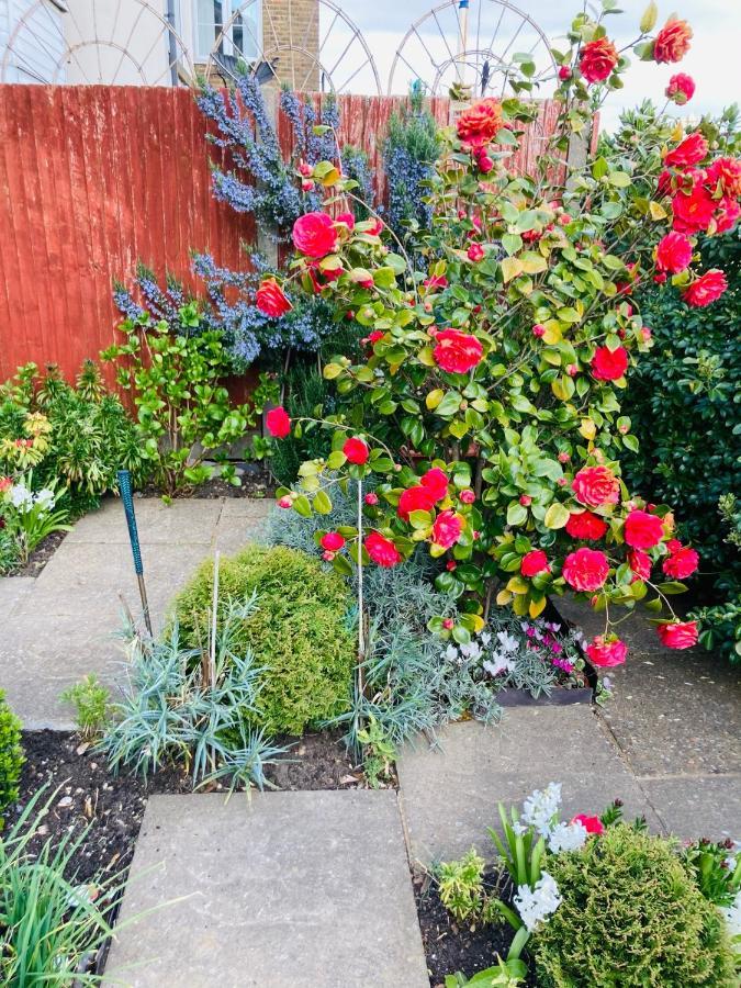 Stunning Seafront House With Garden And Private Parking Eastbourne