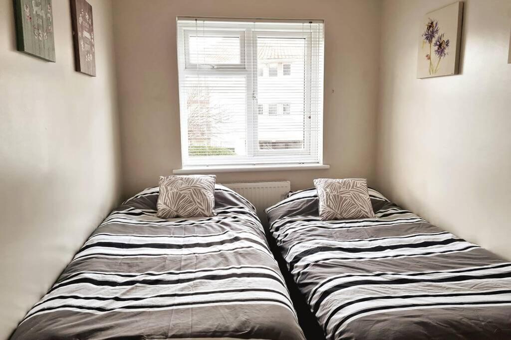 Seaside Town In Great Location * Eastbourne