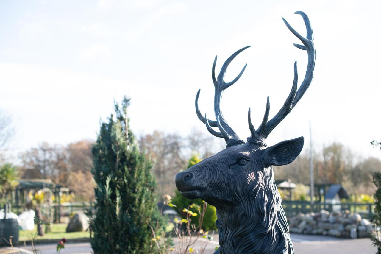 Boship Lions Farm Hotel, Sure Collection By Bw * Eastbourne