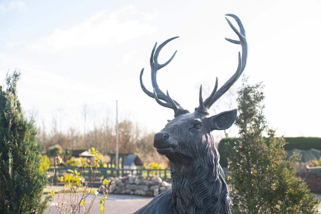 Boship Lions Farm Hotel, Sure Collection By Bw Eastbourne