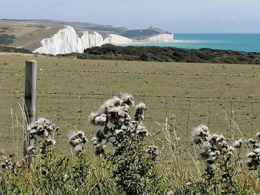 Swanky Pad-free Carpark. E-car Charger. Train Station 2m Walking Eastbourne
