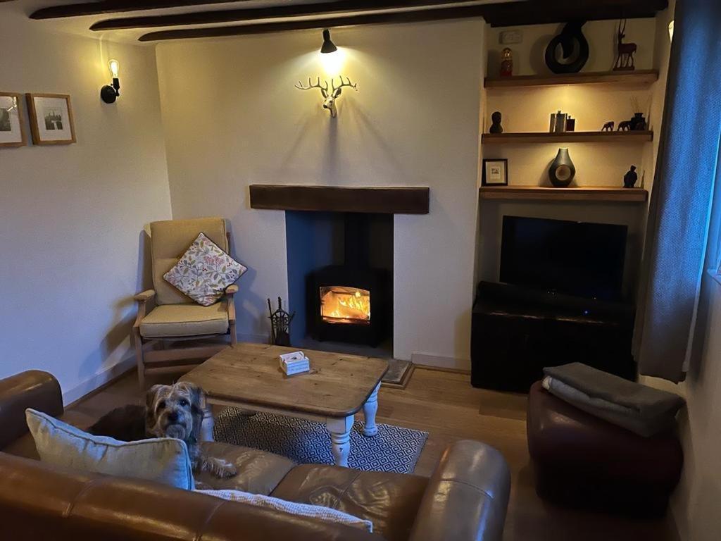 Cosy Flint Bahay bakasyunan Eastbourne