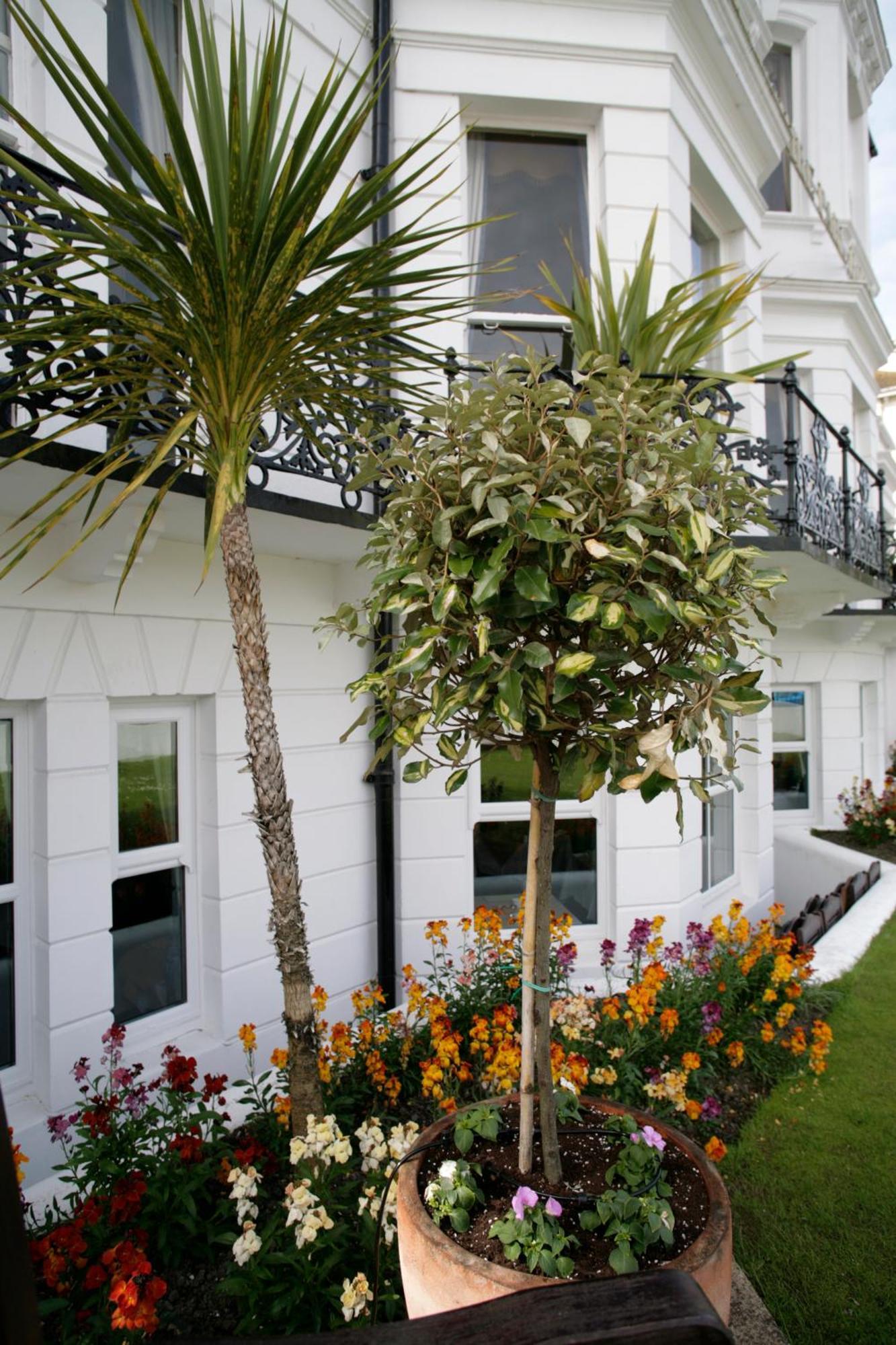 Hotel Devonshire Park 3*