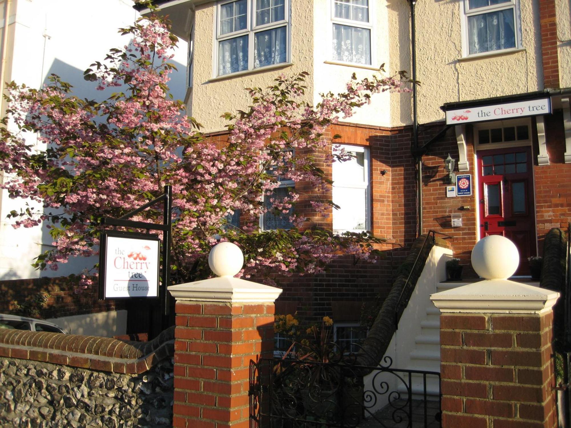 The Cherry Tree Eastbourne