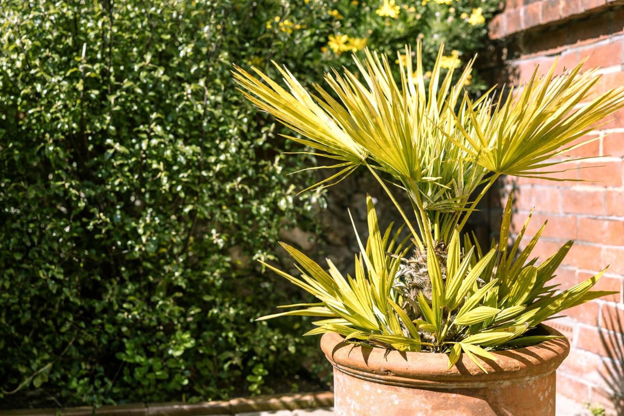 Meads Garden Close To Sea Holiday home