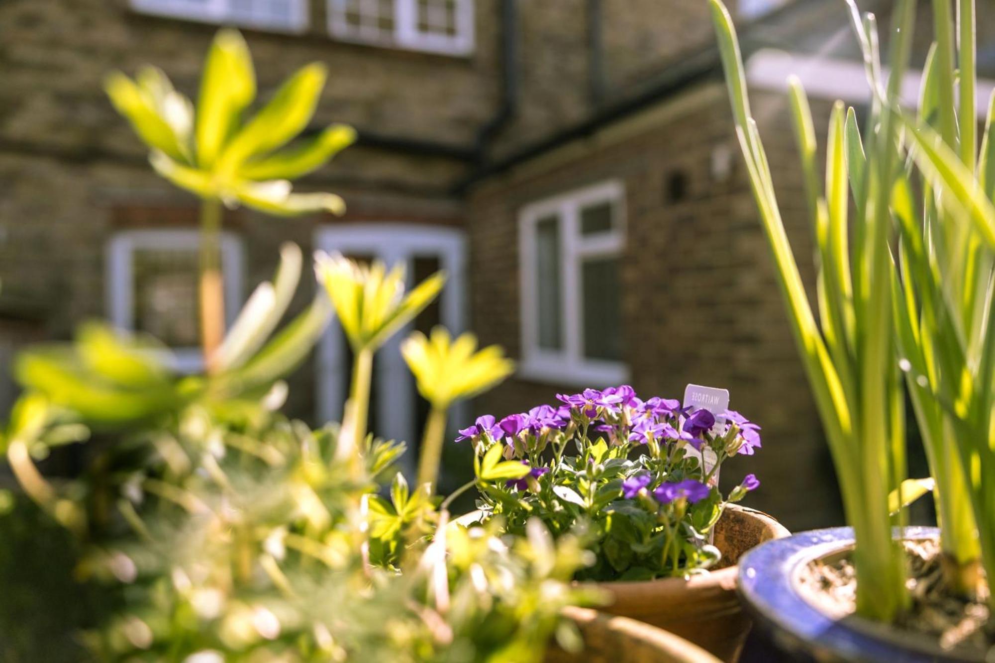Holiday home Meads Garden Close To Sea Eastbourne