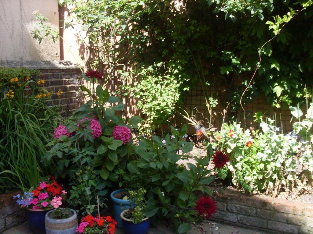 Cambridge House Guest house 4*