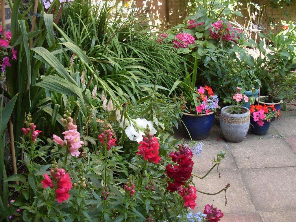 Cambridge House Guest house Eastbourne