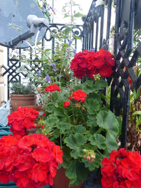 The Iverna Bed & Breakfast 2*