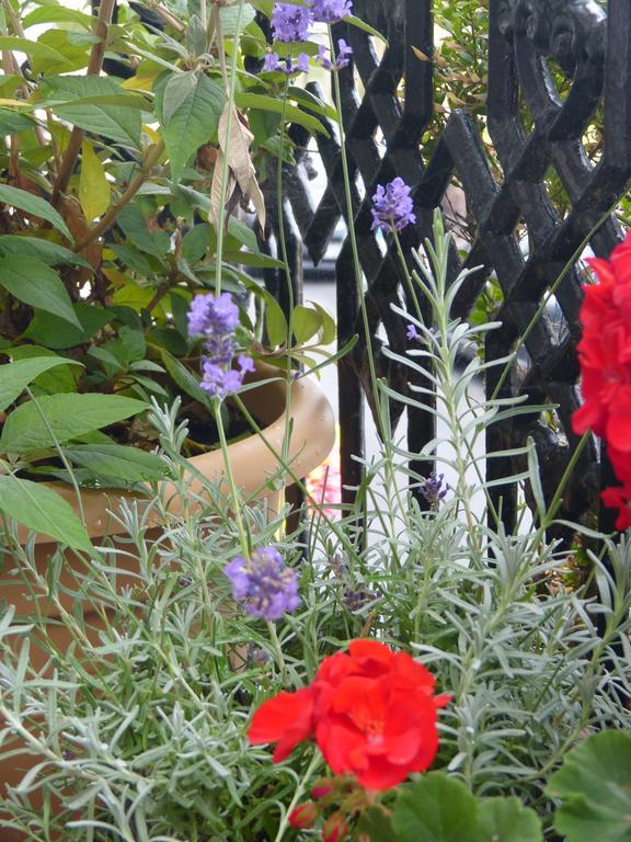 The Iverna Bed & Breakfast Eastbourne
