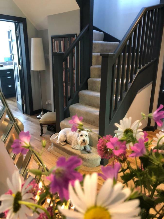 The Niche Bed & Breakfast Eastbourne