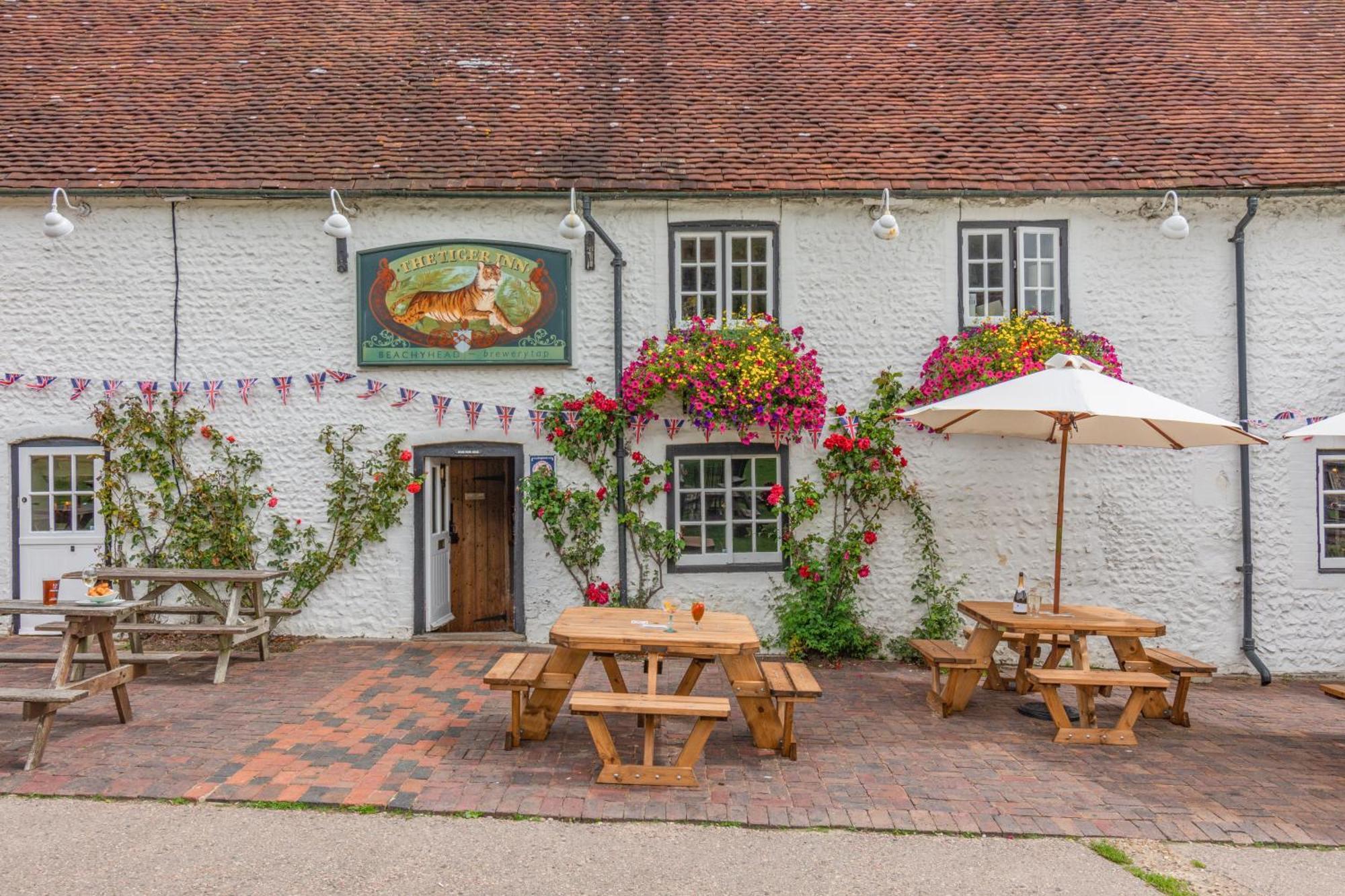 Tiger _ Minnie Bed & Breakfast Eastbourne