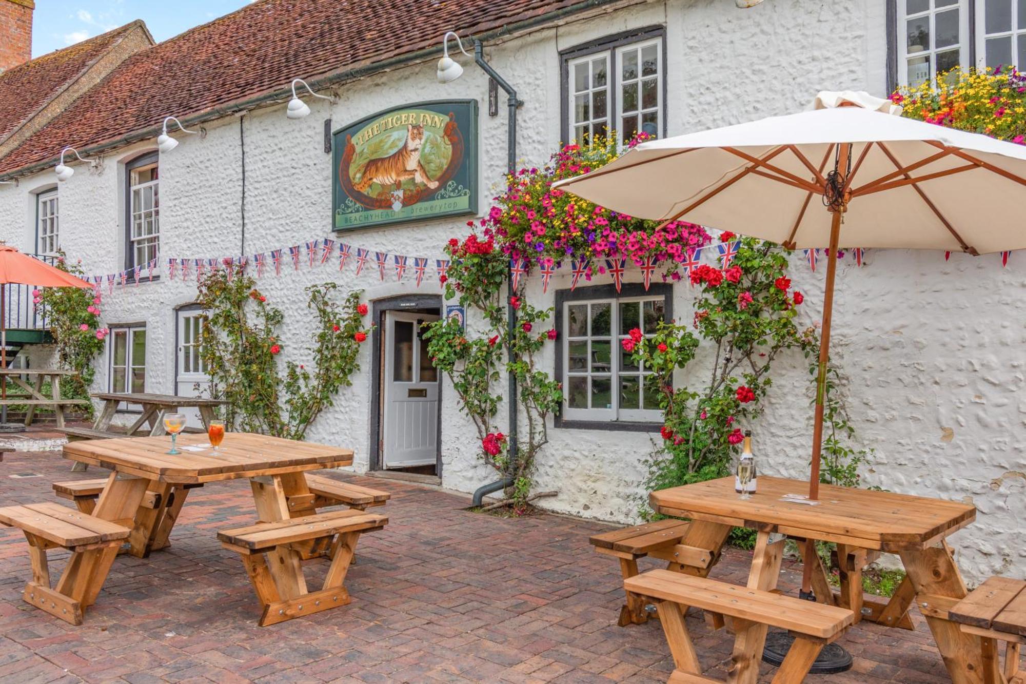 Bed & Breakfast Tiger _ Minnie Eastbourne