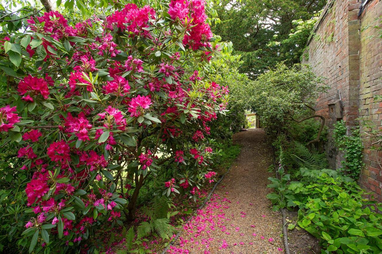 Bed & Breakfast Boreham House 5*