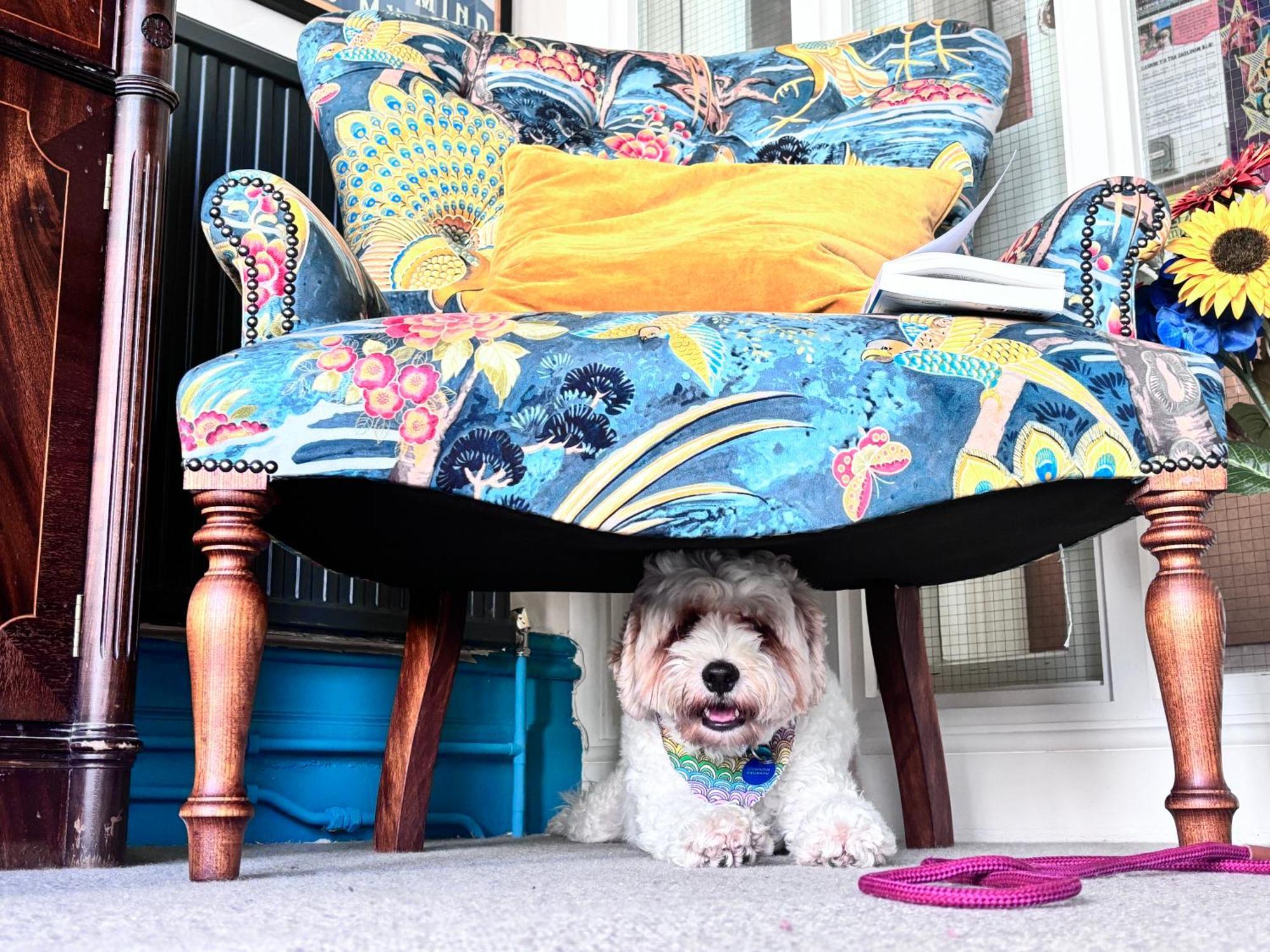 The Sheldon - Free Private Parking Bed & Breakfast