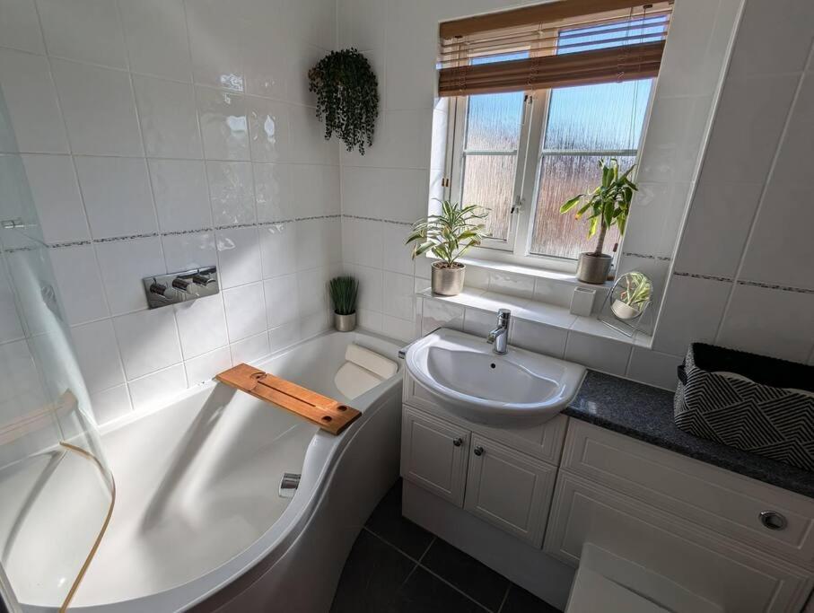 Modern 3b Retreat: Tranquil & Cozy