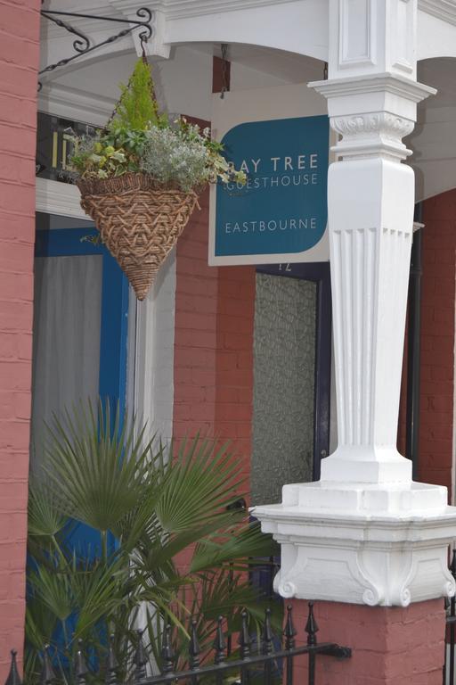 Bay Tree Guest house