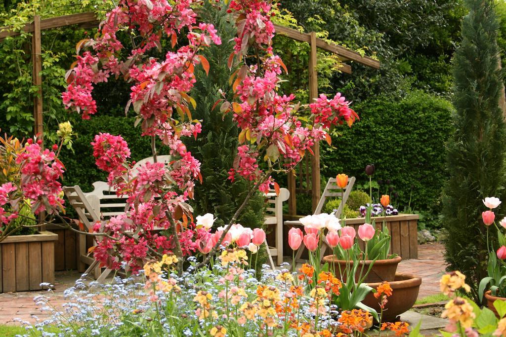 Bed & Breakfast Ocklynge Manor Eastbourne