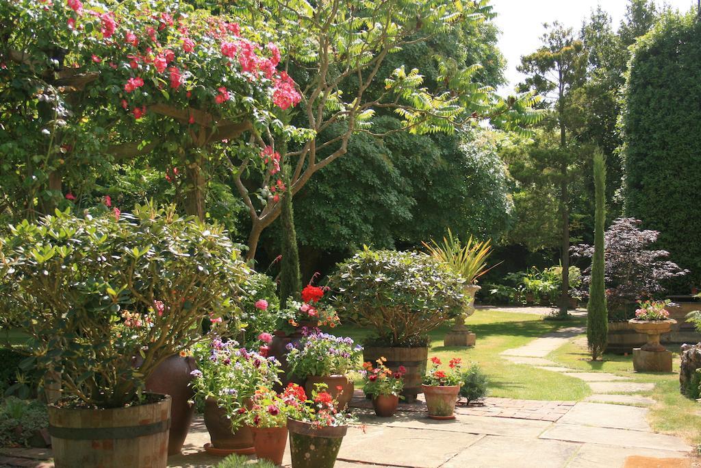Bed & Breakfast Ocklynge Manor
