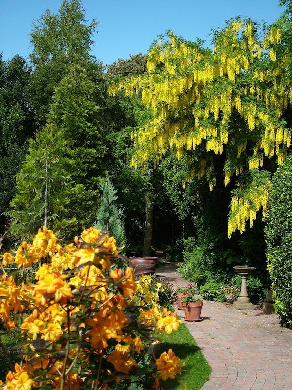 Bed & Breakfast Ocklynge Manor Eastbourne
