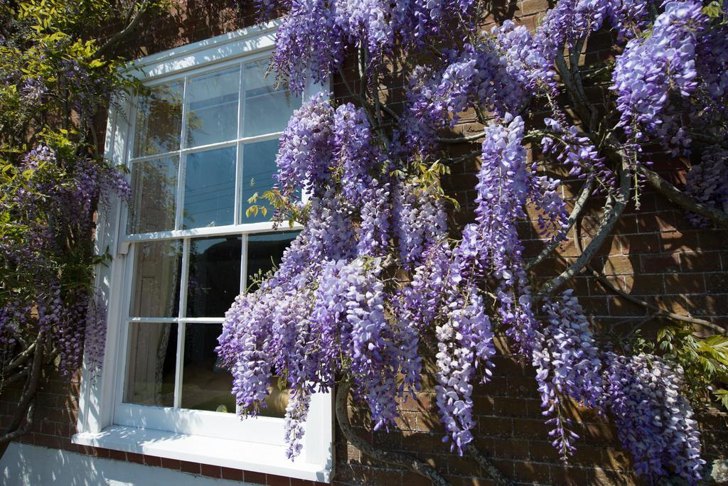 Boreham House Bed & Breakfast 5*